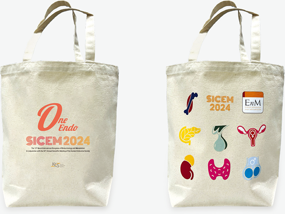 SICEM 2024 bag